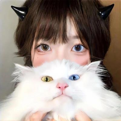 写真甲子园 0.5秒之夏